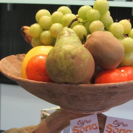 Casa Rural La Prensa De Vino San Esteban De Gormaz Ngoại thất bức ảnh